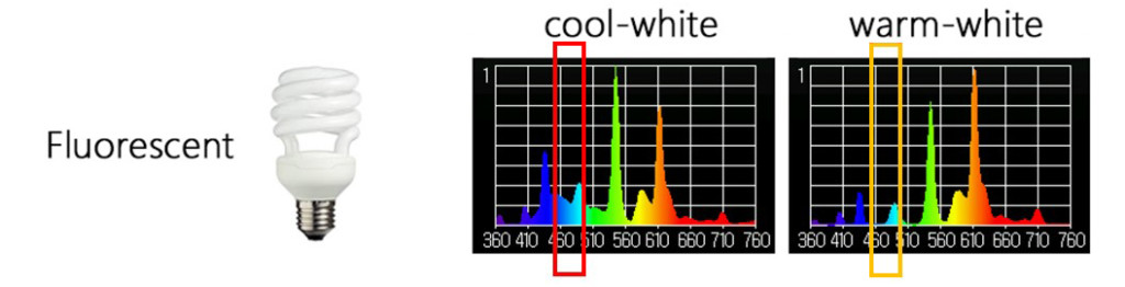 fluorescent, fluorescent spectrum, fluorescent light spectrum, light at night, blue light at night, blue light and sleep