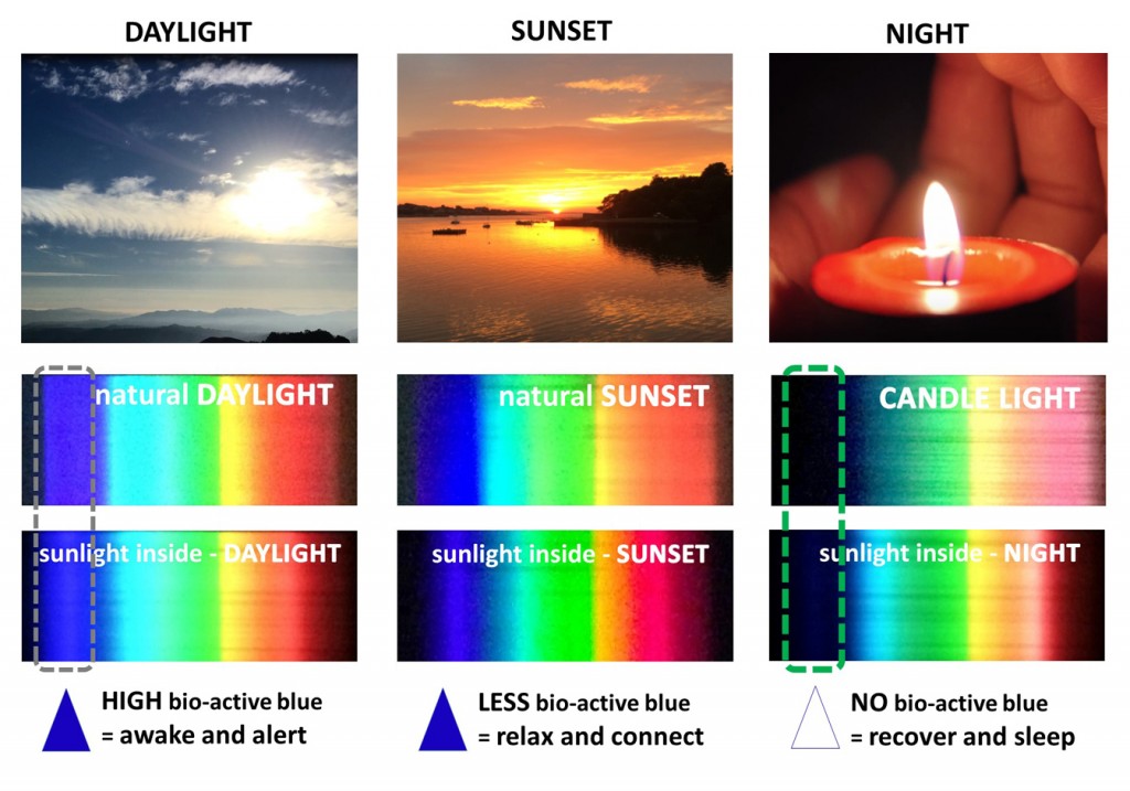 changes in the blue content of light with the time of day drive the connection between light and health