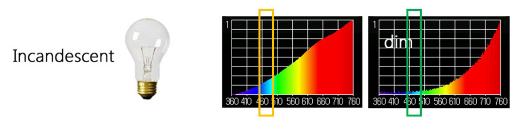 Incandescent spectrum, incandescent light spectrum, warm dim, safe light at night, right light at night